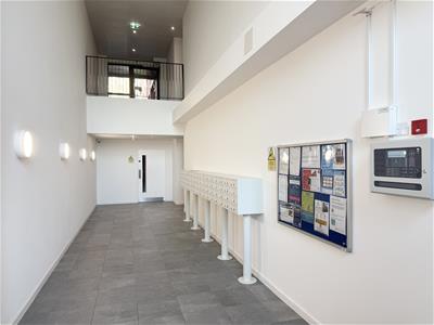 Picture 12